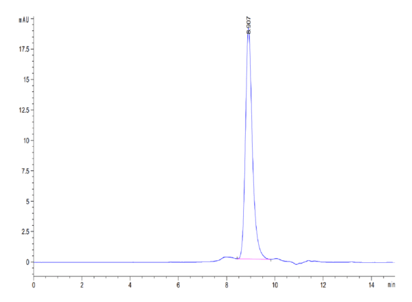 HPLC of Mouse RGM-C Protein 3791