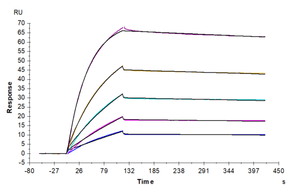 SPR with Mouse TNFRSF12A/TWEAKR Protein 3794