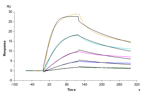 SPR with Mouse VLDLR Protein 3797