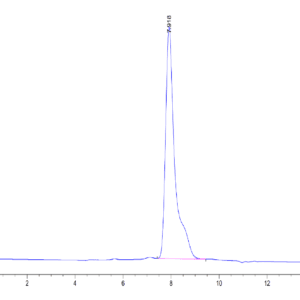 HPLC of Human AMIGO2 Protein 3802