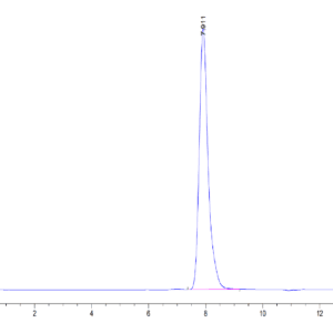 HPLC of Human LAMP5 Protein 3806