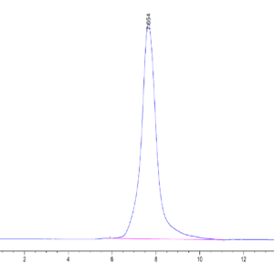 HPLC of Mouse CLEC9A Protein 3810