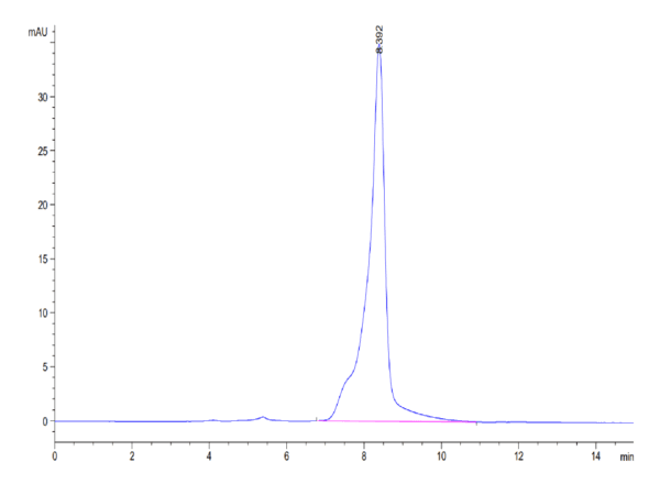 HPLC of Mouse GITR Ligand/TNFSF18 Protein 3811