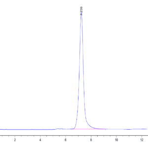 HPLC of Mouse E-Selectin/CD62E Protein 3820