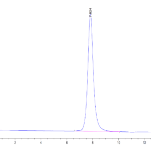 HPLC of Mouse Complement Factor D/CFD Protein 3824