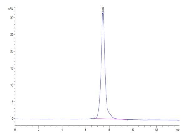 HPLC of Mouse LTBR Protein 3834