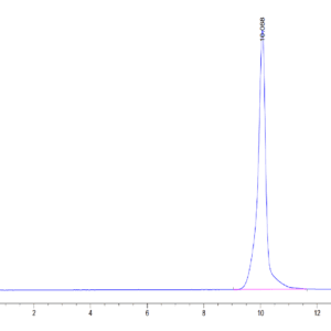 HPLC of Human BAMBI Protein 3836