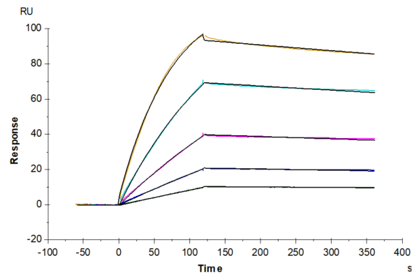 SPR with Mouse IL-1R1 Protein 3837