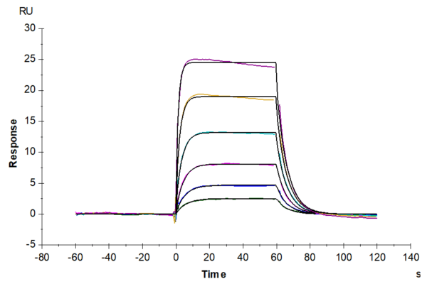 SPR with Mouse IL-18 R1/CD218a Protein 3838