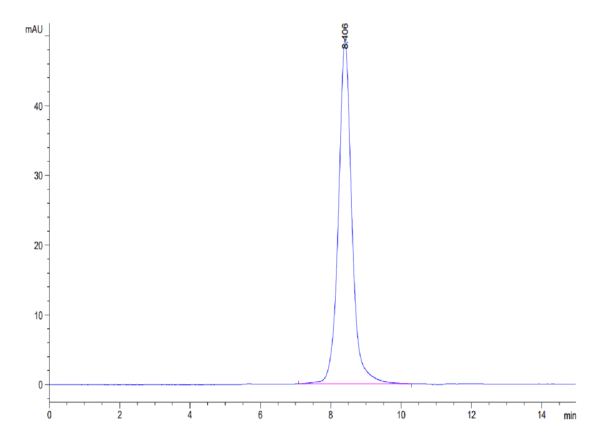 HPLC of Mouse IL-18 R1/CD218a Protein 3838