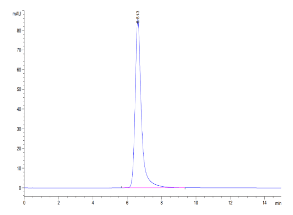 HPLC of Biotinylated Human HLA-A*11:01&B2M&KRAS G12V (VVVGAVGVGK) Monom 3846