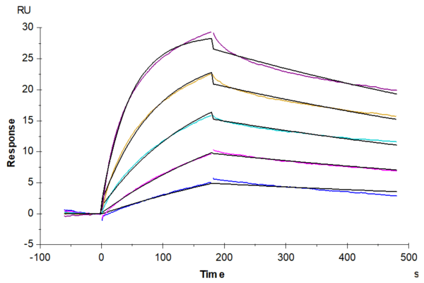 SPR with Biotinylated Human CCR2b Protein-VLP 3851