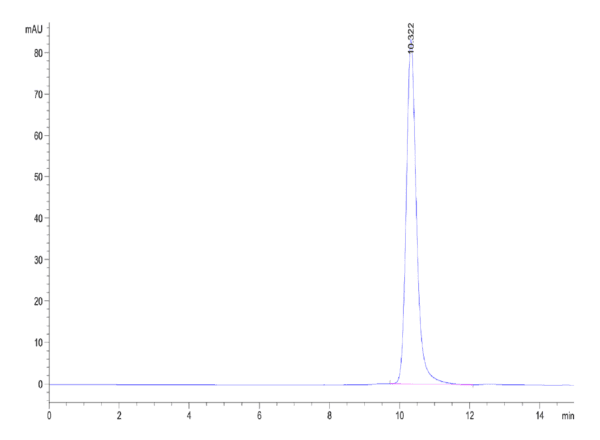 HPLC of Biotinylated Human HLA-A*02:01&B2M&P53 WT (HMTEVVRRC) Monomer P 3853