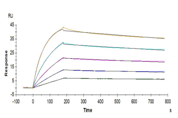 SPR with Human IL-17RB Protein 3863