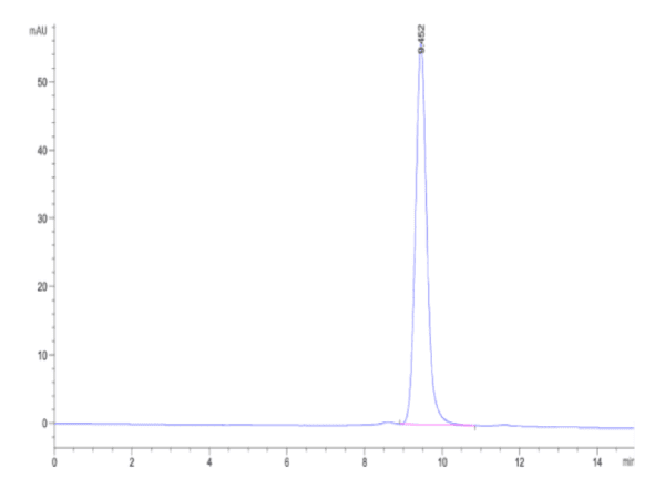 HPLC of Biotinylated Human HLA-A*02:01&B2M&NY-ESO-1 (SLLMWITQC) Monomer 3864