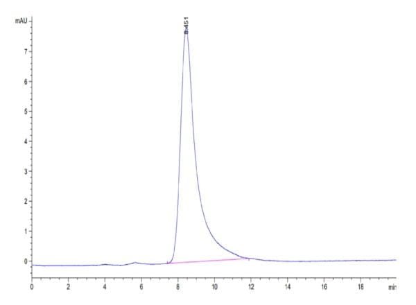 HPLC of Mouse SG3/Secretogranin 3 Protein 3883