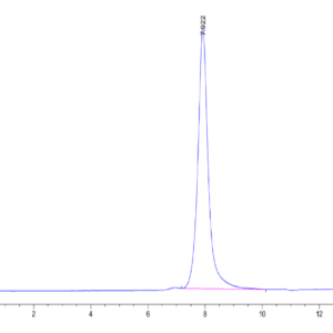 HPLC of Human HGFA Protein (pro form)  3886