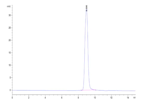 HPLC of Human KLKB1 Protein 3888