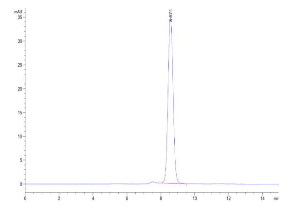 HPLC of Mouse Galectin 1 Protein 3890