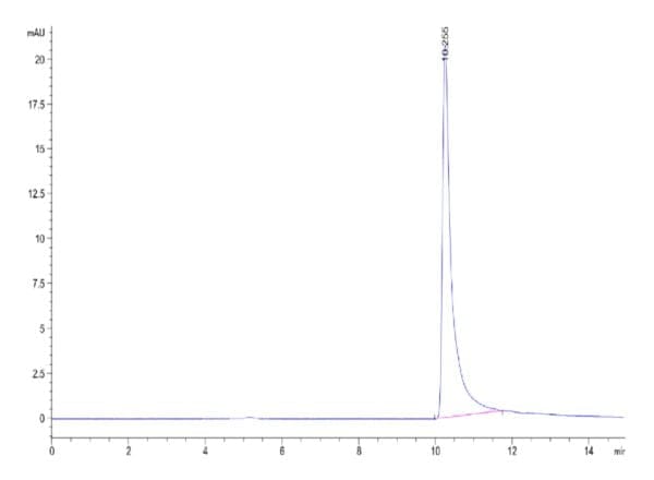 HPLC of Human IL-8/CXCL8 Protein 3895