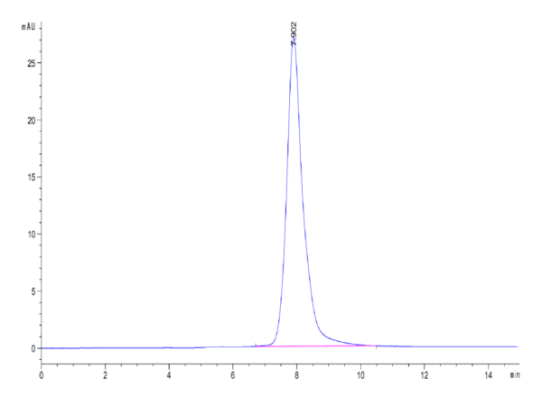 HPLC of Human CD300LF Protein 3901