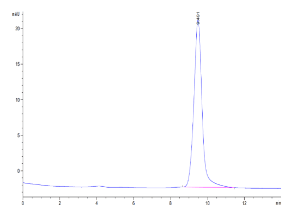 HPLC of Mouse TFF1 Protein 3902