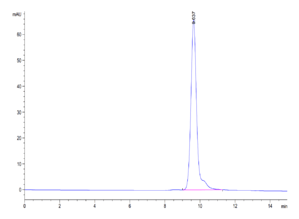 HPLC of Mouse HPN Protein 3906