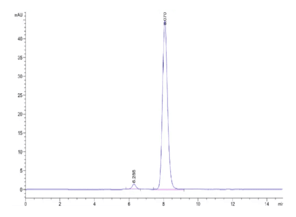 HPLC of Mouse HGFA Protein (pro form) 3911