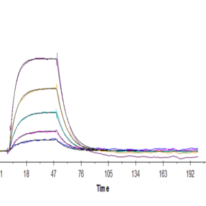 SPR with Human Transferrin R/CD71 Protein 3919