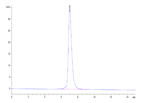 HPLC of Human GUCY2C/Guanylyl cyclase C Protein 3923