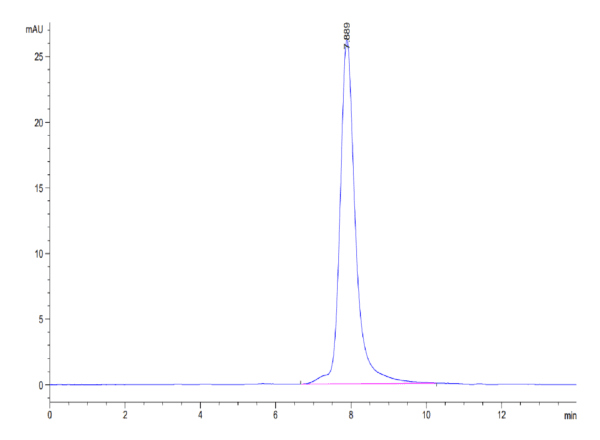 HPLC of Mouse PGF Protein 3925