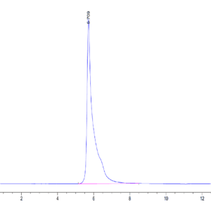 HPLC of Human Adiponectin/Acrp30 Protein 3933