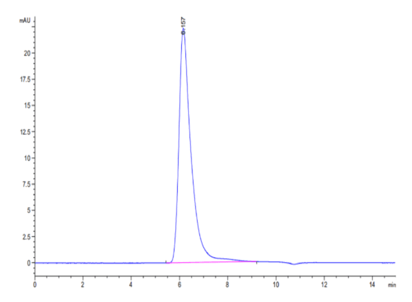 HPLC of Human E-Selectin/CD62E Protein 3945