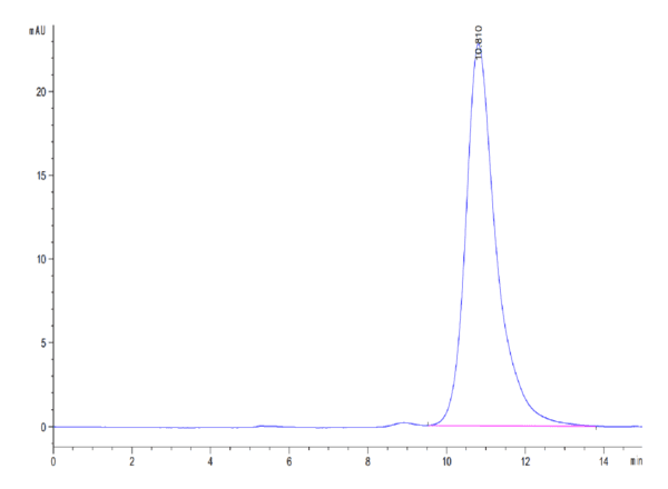 HPLC of Mouse LILRB4/CD85k/ILT3 Protein 3953