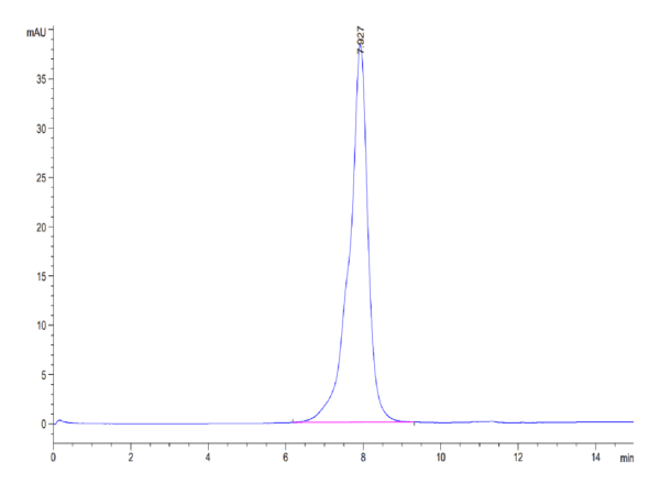 HPLC of Mouse IL-31 RA?Protein 3955