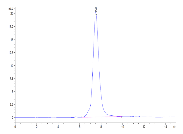 HPLC of Mouse IL-18BP Protein 3979