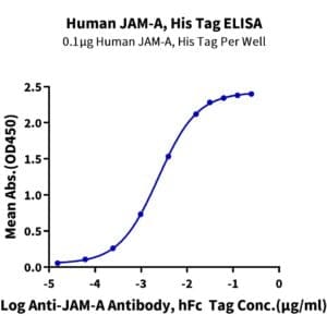 ELISA with Human JAM-A Protein 3983