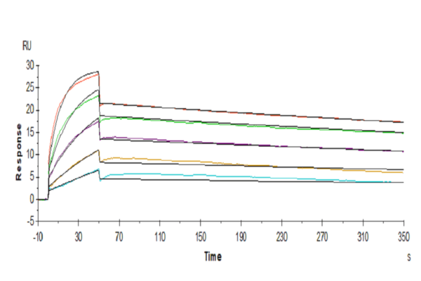 SPR with Human PRLR Protein 3998