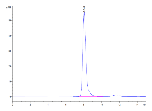 HPLC of Biotinylated Cynomolgus FAP Protein 3999