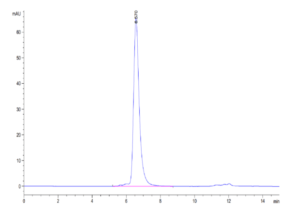 HPLC of Human DLL4 Protein 4003