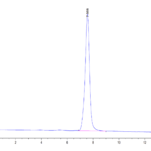 HPLC of Mouse BST2 Protein 4006