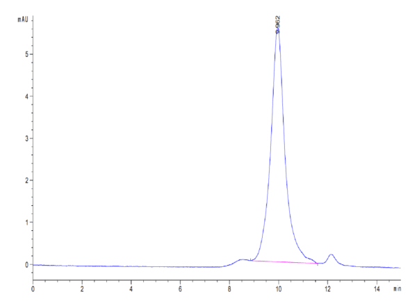 HPLC of Mouse FSTL3 Protein 4019