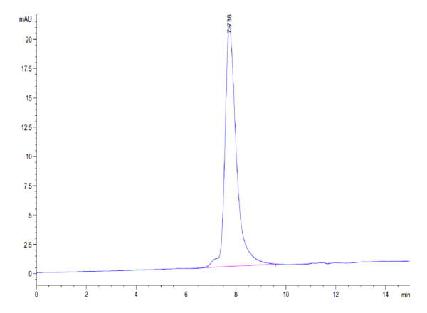 HPLC of Human IL-9?Protein 4024