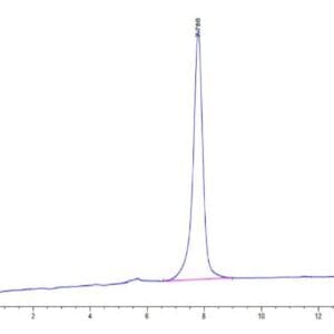 HPLC of Mouse APLN Protein 4026