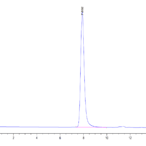 HPLC of Mouse CD5 Protein 4032