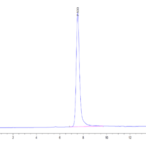 HPLC of Human SPP1/OPN Protein 4033