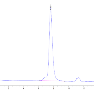 HPLC of Mouse CDH17/Cadherin 17 Protein 4036