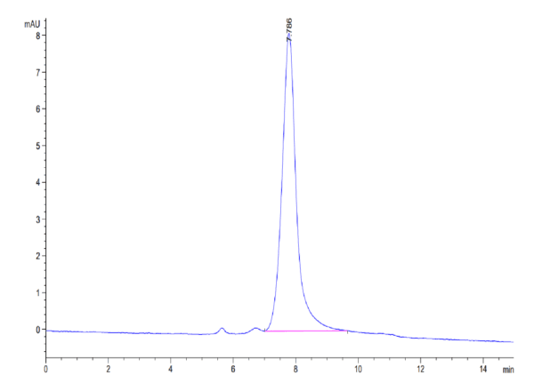 HPLC of Mouse SPP1/OPN Protein 4039