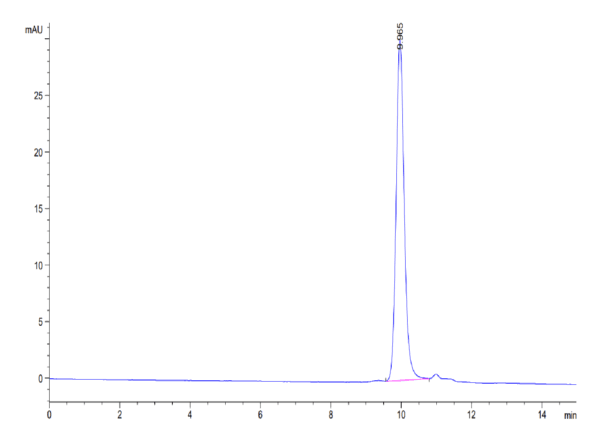 HPLC of Biotinylated Human IL-1 Beta/IL-1F2 Protein 4045