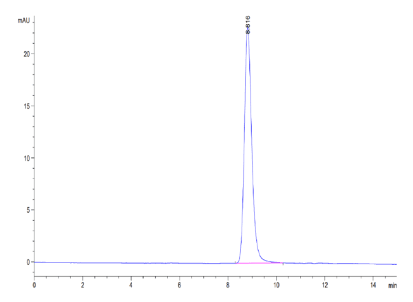 HPLC of Mouse LRG1 Protein 4049